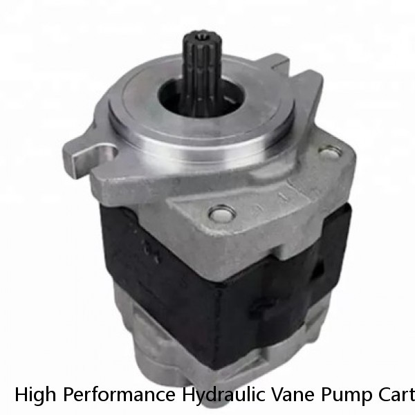 High Performance Hydraulic Vane Pump Cartridge T6C 003 1L00 A1 With 1 Year