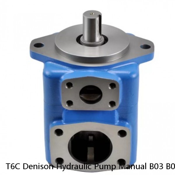 T6C Denison Hydraulic Pump Manual B03 B05 B06 B08 B10 B12 B14 B17 B20 B22 B25 #1 small image