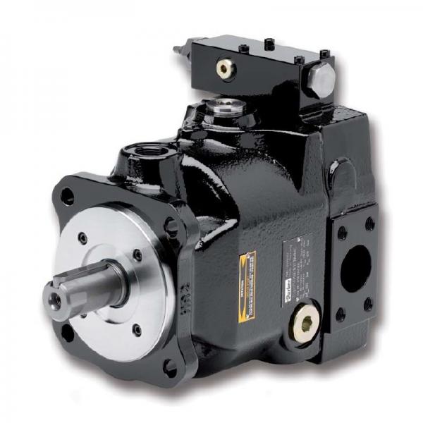 PAKER PAV10 Piston Pump #2 image